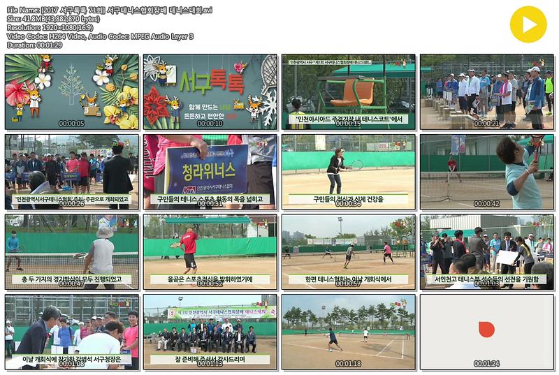 [2017 서구톡톡 71회] 서구테니스협회장배 테니스대회 사진